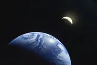 dhg
